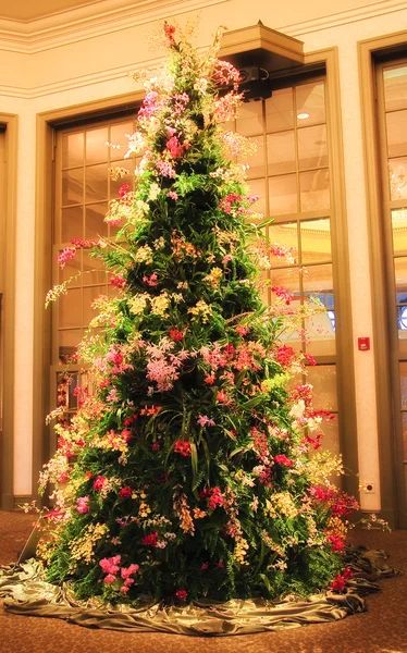 Orchideen-Weihnachtsbaum — Stockfoto