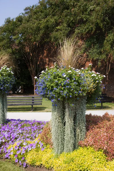 Ungewöhnliche Blumen Einem Hängenden Korb — Stockfoto