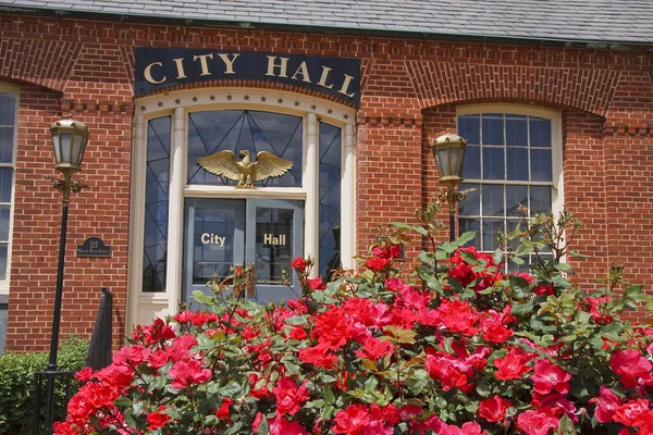 City Hall in the Spring — Stock Photo, Image