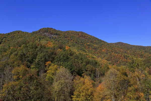 Montañas de Carolina del Norte — Foto de Stock