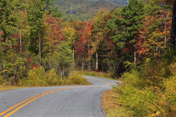 Camino en las montañas de Carolina del Norte — Foto de Stock