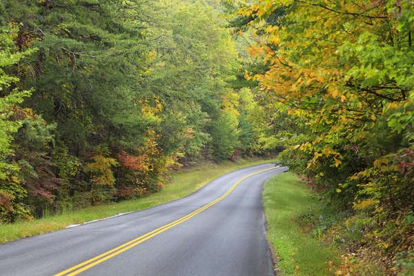 Courbe dans la route — Photo