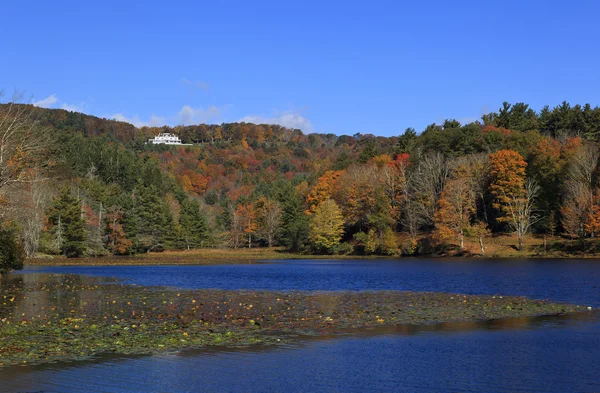 Mozes Cone Memorial Park — Stockfoto