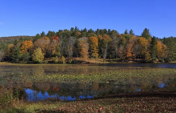 Cone Lake in Memorial Park — Stockfoto