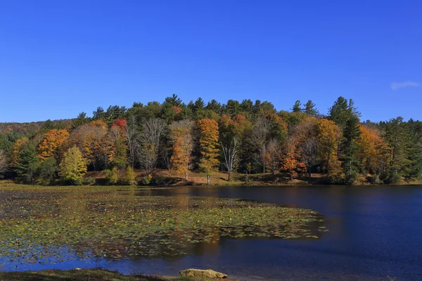 North Carolina Lake met Fall bomen — Stockfoto