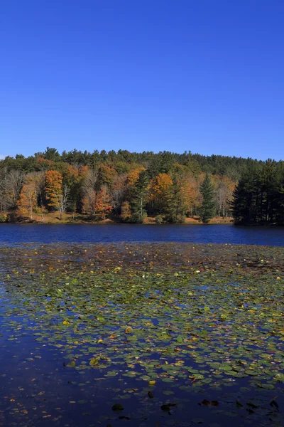 Lac Basse au Moses Cone Memorial Park — Photo