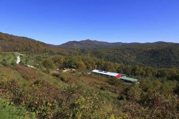 Widok Sadu Altapass Blue Ridge Parkway Sadu — Zdjęcie stockowe