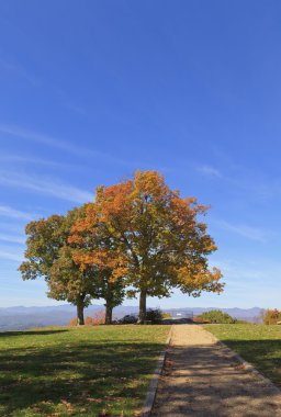 Rock Hendersonville, North Carolina atlamayın