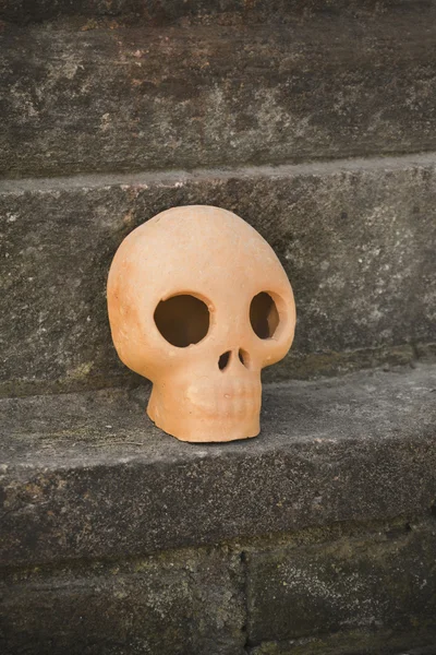 Orangefarbener Totenkopf — Stockfoto