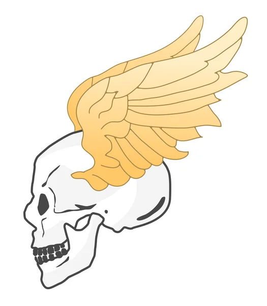 Skull and wings — Stock Photo, Image