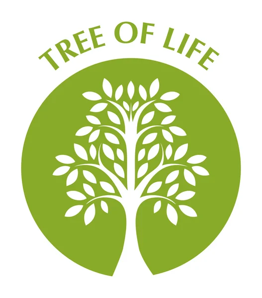 Strom života — Stock fotografie