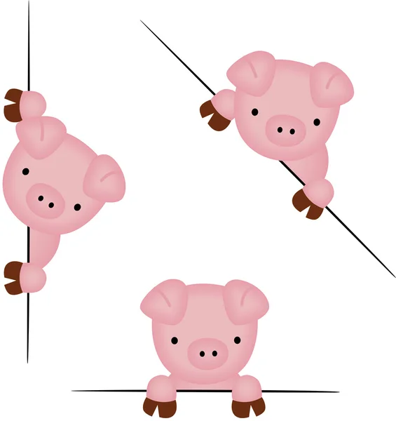 Cute pig peeking from behind in various positions — Stock Vector