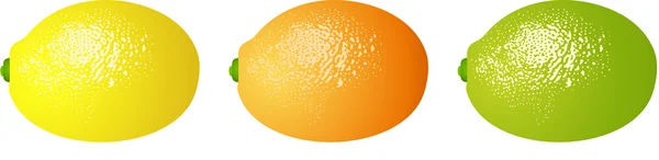 Citrusové ovoce potraviny — Stockový vektor