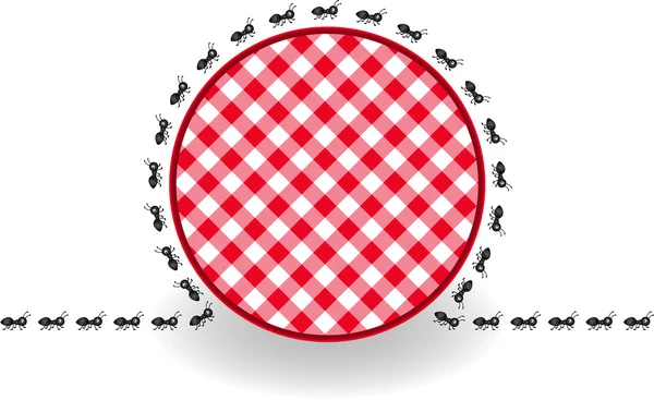 Ants around label picnic plaid — Stock Vector