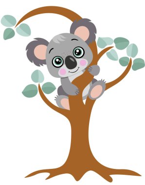 Okaliptüs ağacında sallanan sevimli koala.
