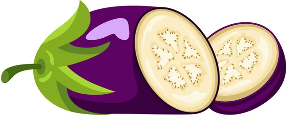 Fresh Eggplant Cut Half — Stock Vector