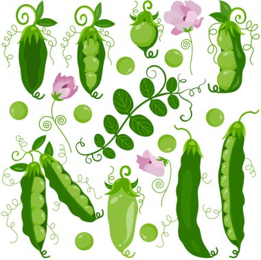 Bezelye ve yeşil kabuklu eğlence paketi dijital elementleri ayarlar