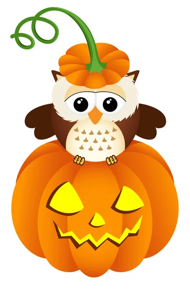 Owl in halloween pompoen — Stockvector