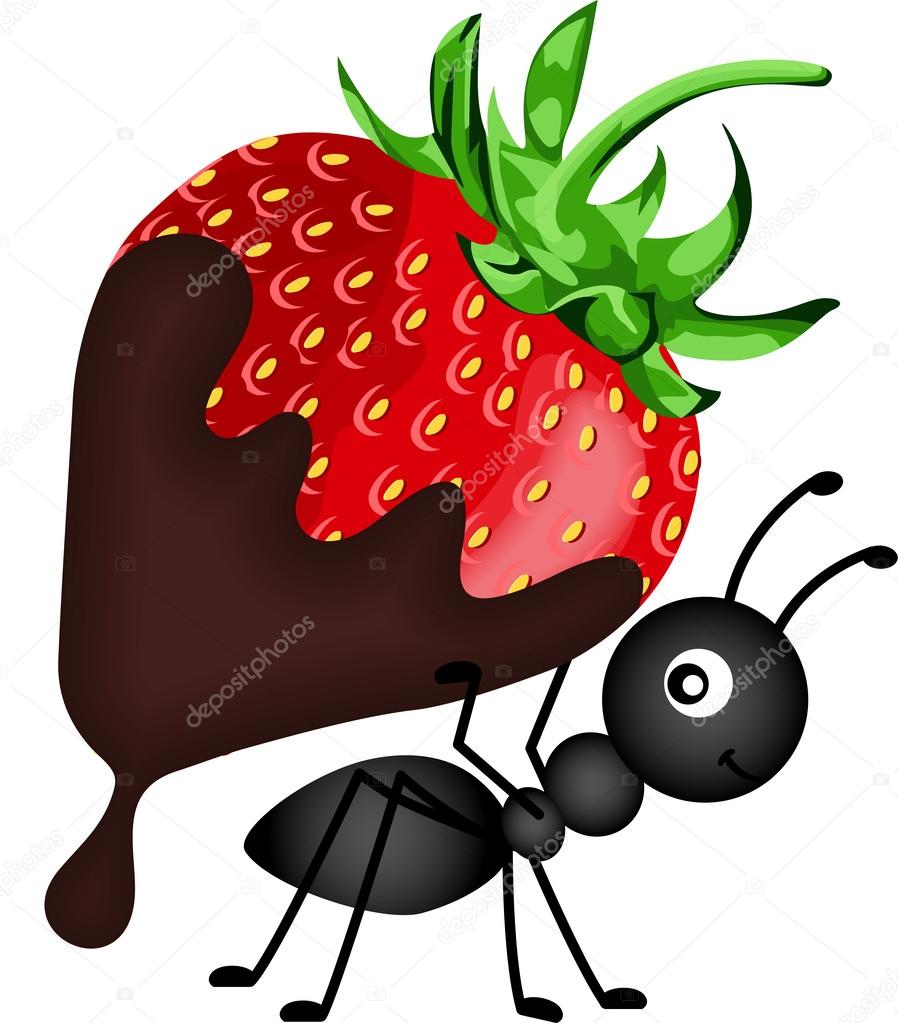 Image vectorielle Fourmi portant des fraises avec sauce au chocolat par  ©socris79 - 53130533, image size:898x1023