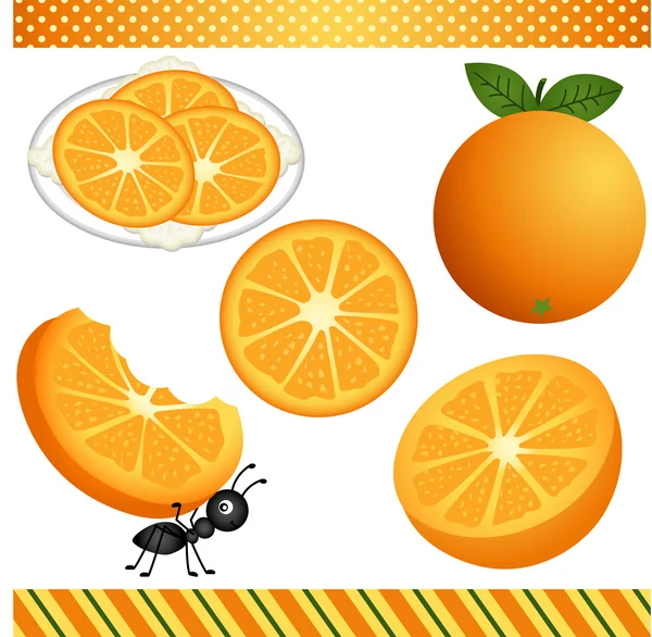 Pomarańczowy clipartów cyfrowy — Wektor stockowy