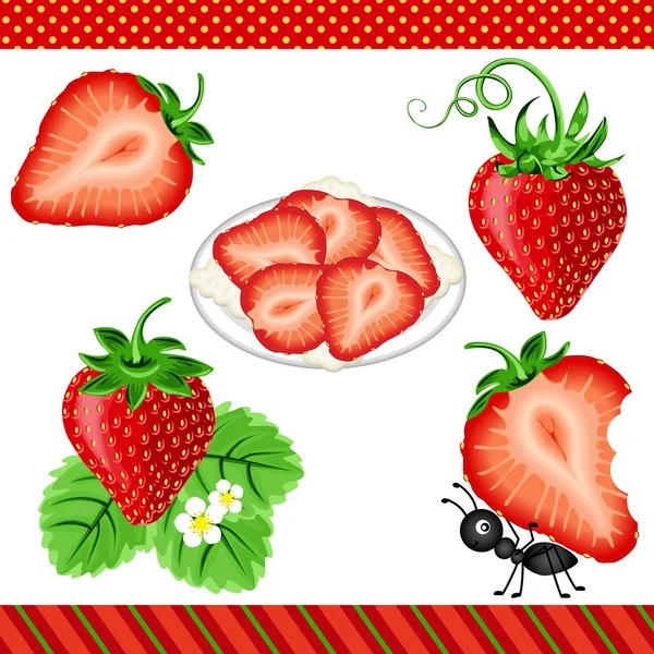 Цифровой клипарт Strawberry — стоковый вектор