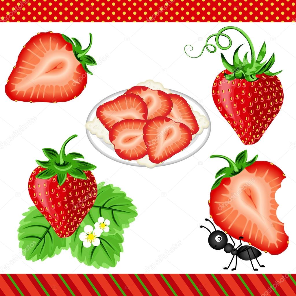 Strawberry Digital Clipart
