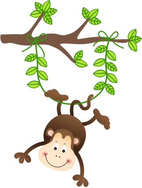 bir ağaca tutunan maymun