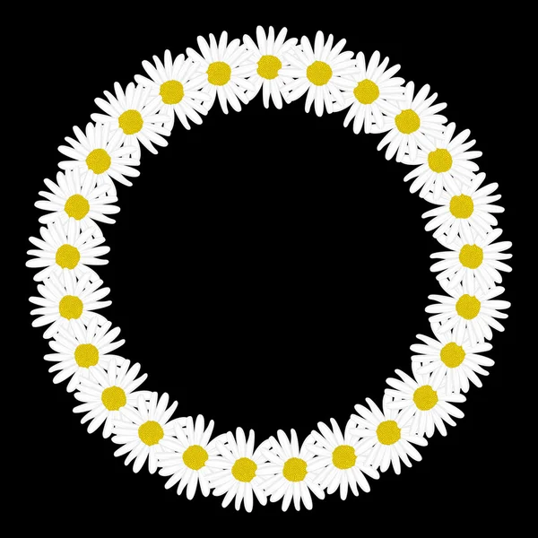 Daisy chain in the shape of a circle frame — Stock Vector