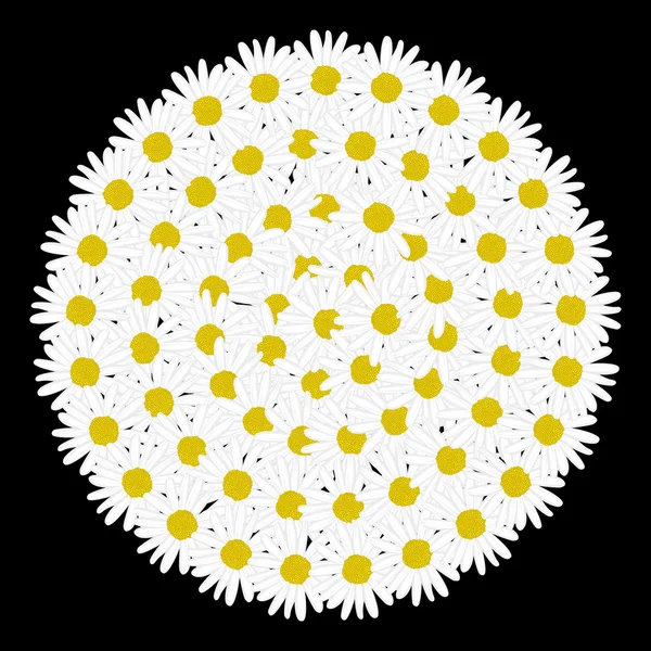 Marco círculo blanco en forma de flor de margarita — Archivo Imágenes Vectoriales