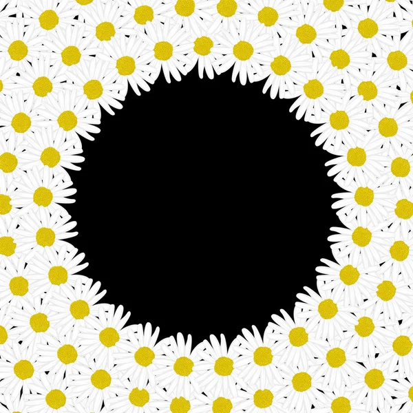 Κύκλος Κάσια από λουλούδια μαργαρίτα — Διανυσματικό Αρχείο