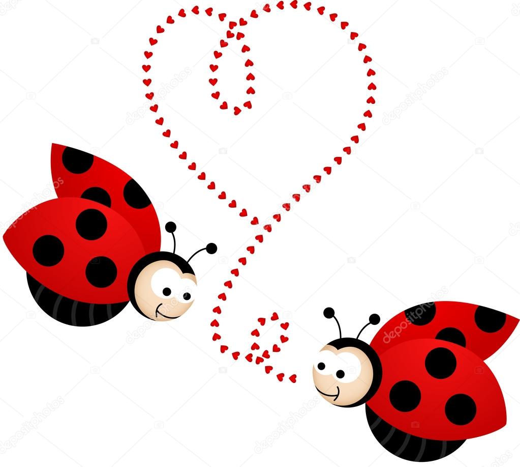 Duas lindas joaninhas apaixonadas Vetor de ©socris79 67650631, image size:1023x917