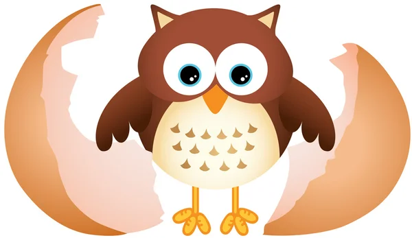 Little Owl — Stock Vector