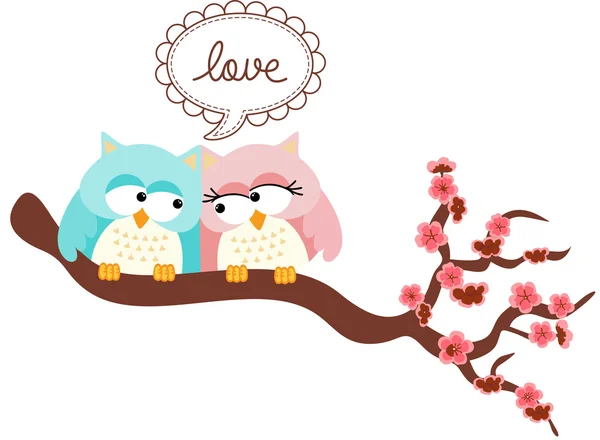 Love owls — Stock Vector