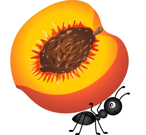 Ant carrying a peach — Stock Vector