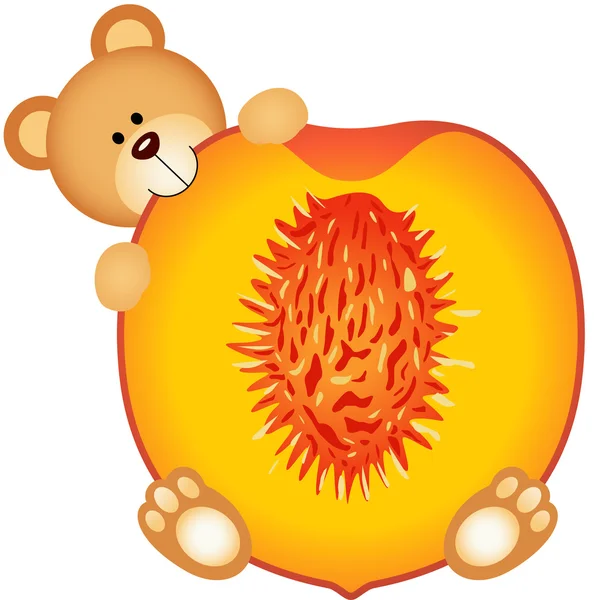 Teddy bear eating a peach slice — Stock Vector