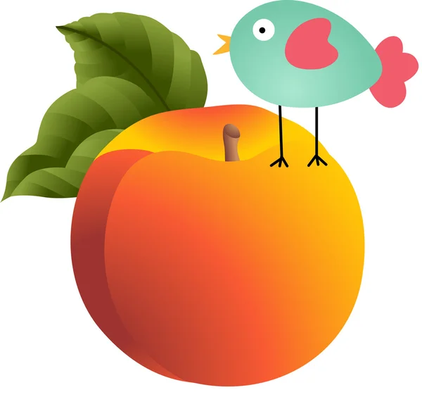 Bird on peach — Stock Vector