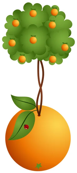 Naranjo en una naranja — Vector de stock