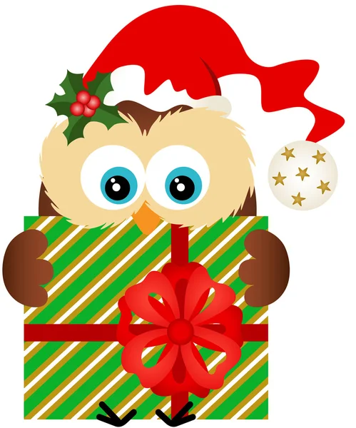 Vánoční sova drží vánoční dárek — Stockový vektor