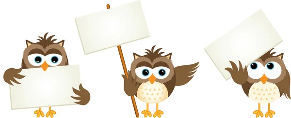 Three owls with signboards — Stock Vector