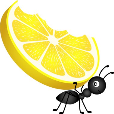 Bir limon taşıyan karınca