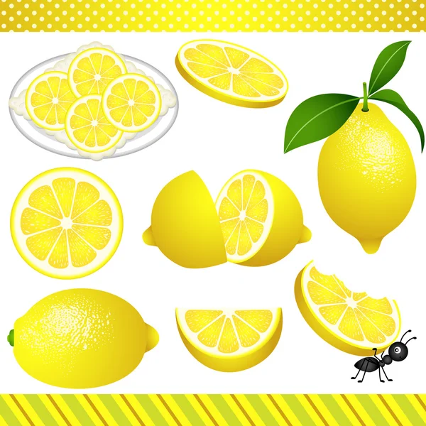 Clipart digital de limão — Vetor de Stock