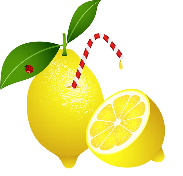 Lemon with Straw — Stock Vector