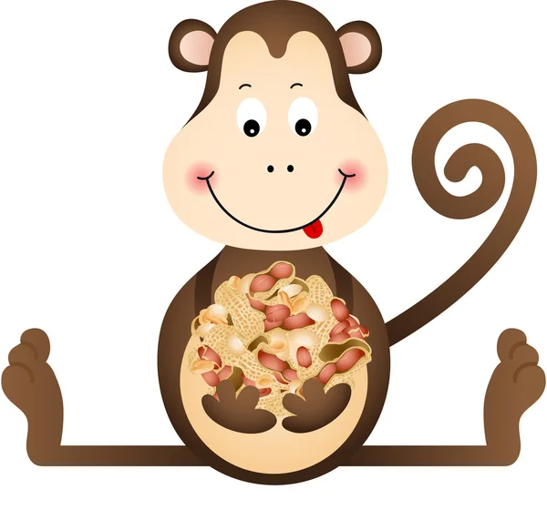 Małpy jedzenie orzeszków ziemnych — Wektor stockowy
