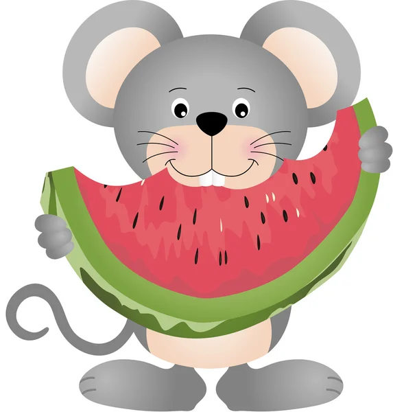 Mouse eating watermelon — Stock Vector