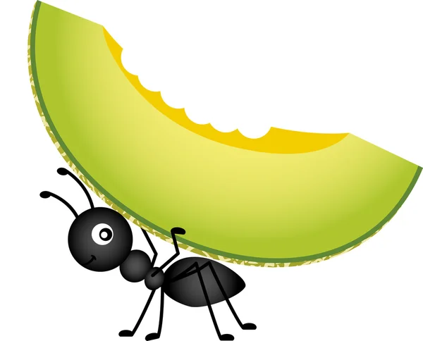 Ant carrying a cantaloupe melon — Stock Vector