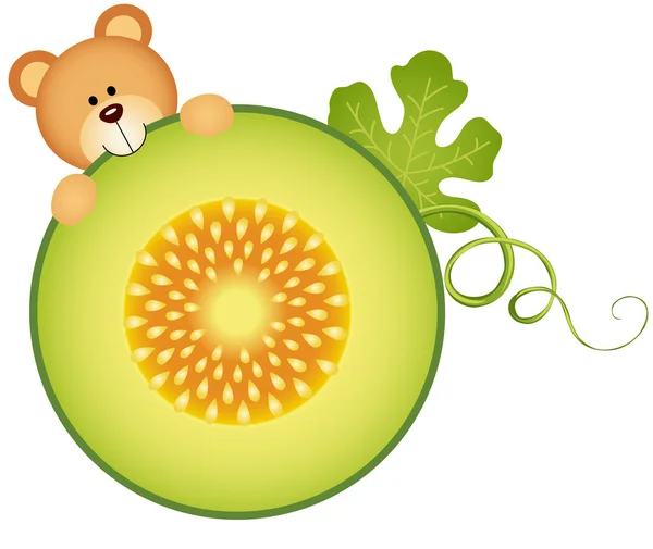 Teddy bear äta cantaloupe melon bit — Stock vektor