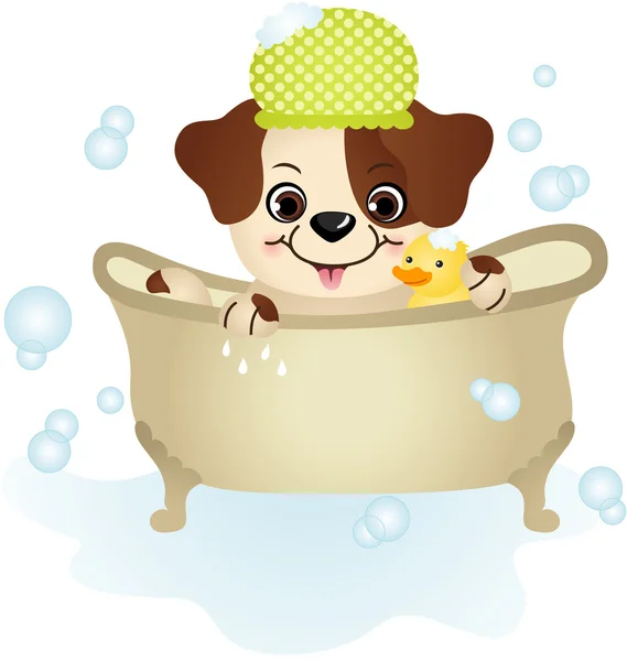 Netter Hund badet — Stockvektor