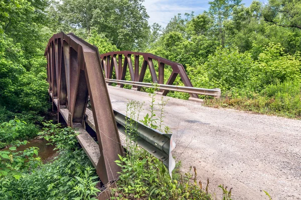 Skewed Pony Truss Bridge — ストック写真