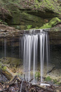 Baldırıkara otu Falls adlı tonları