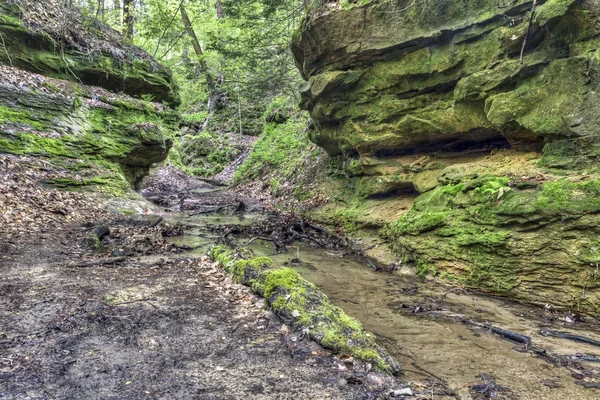 Felsige Waldschlucht — Stockfoto